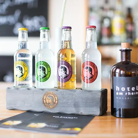 Am Rhein ホテル 3*