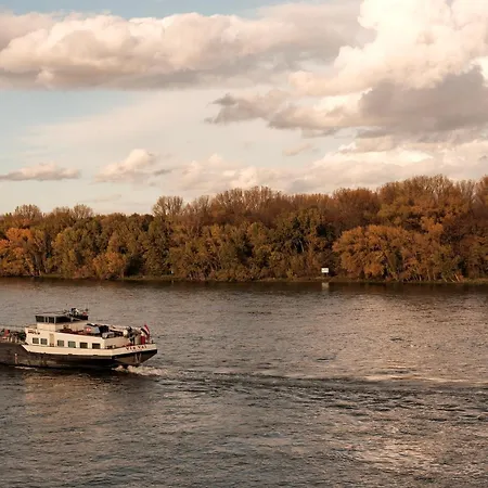Am Rhein 3* ヴェッセリンク