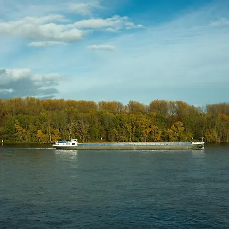 Am Rhein ホテル