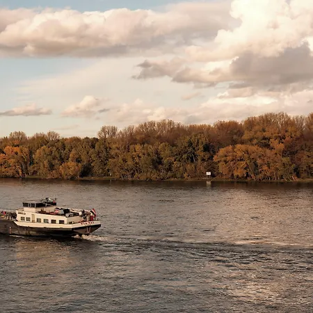 Am Rhein Hotel 3*