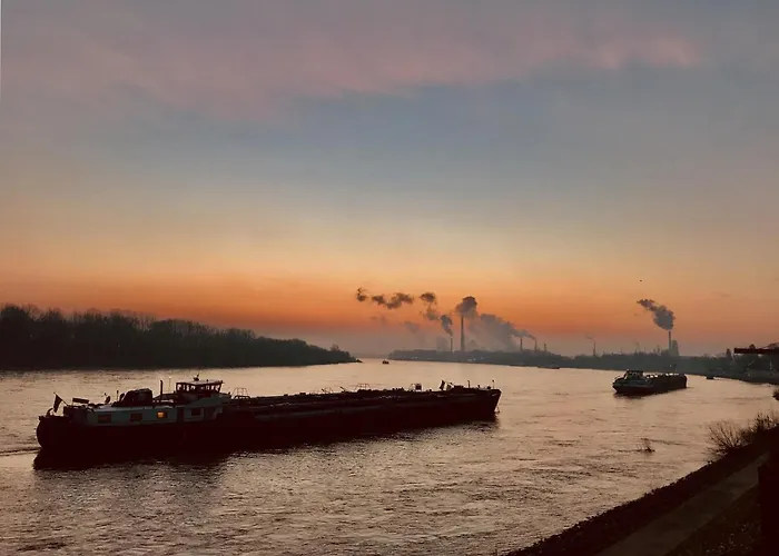 ホテル Am Rhein 3*