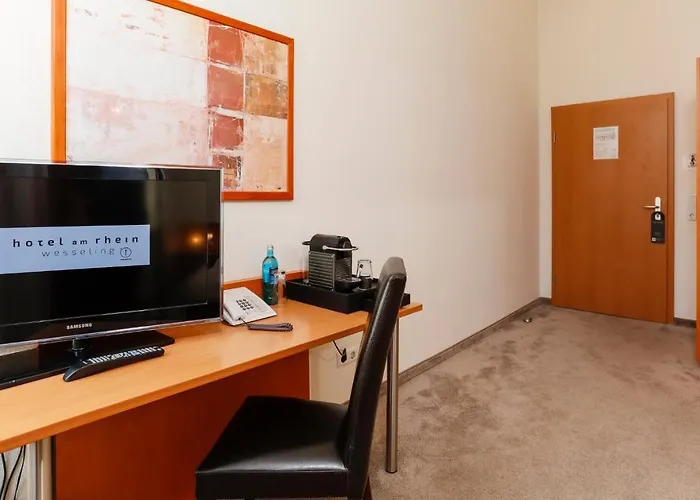 ホテル Am Rhein 3*