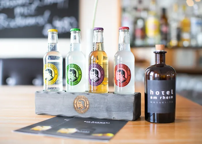 Am Rhein ホテル 3*